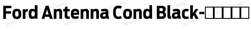 Ford Antenna Cond Black字体转换